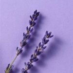 ژل شستشو و اسکراب صورت لوندر اسنشیالز - Image 3